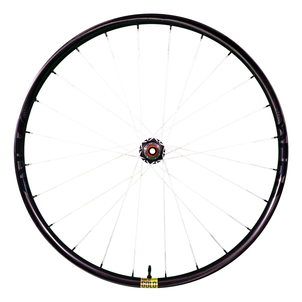 Berd HAWK30 Gold Carbon Wheels – Berd Spokes