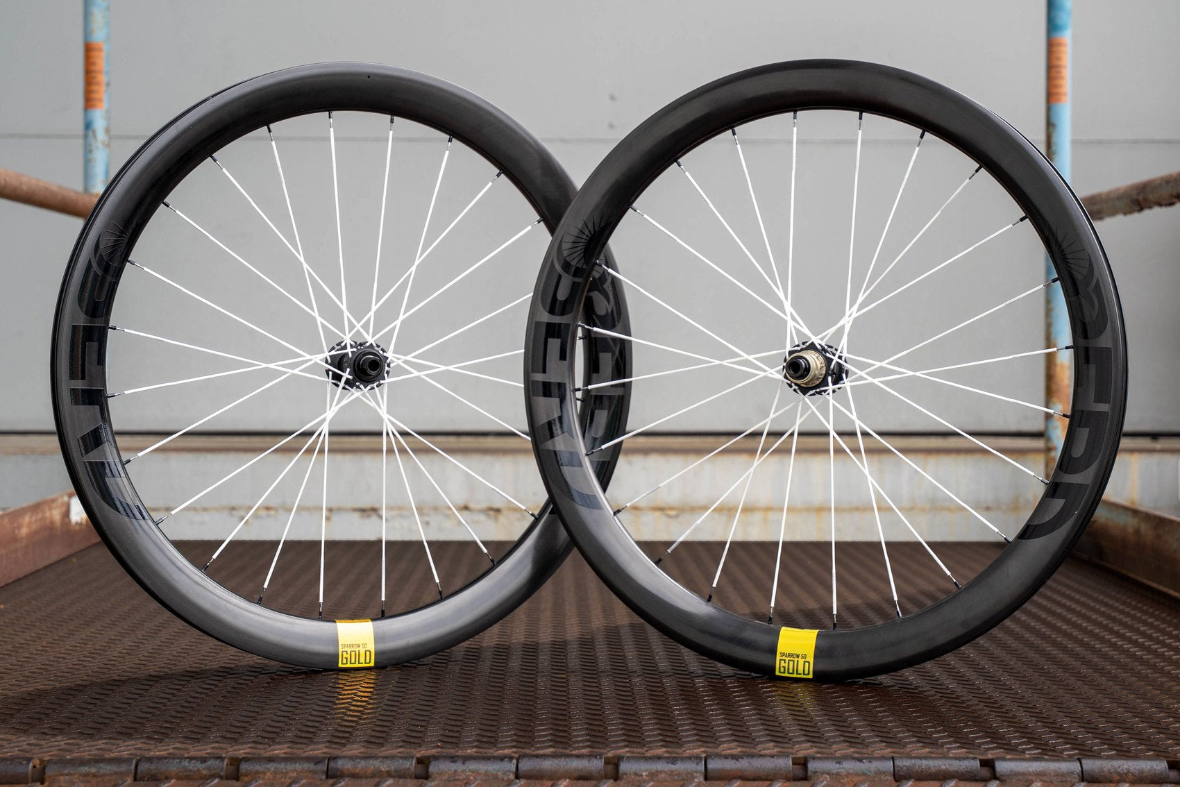 Berd Sparrow50 Gold wheelset, front and rear
