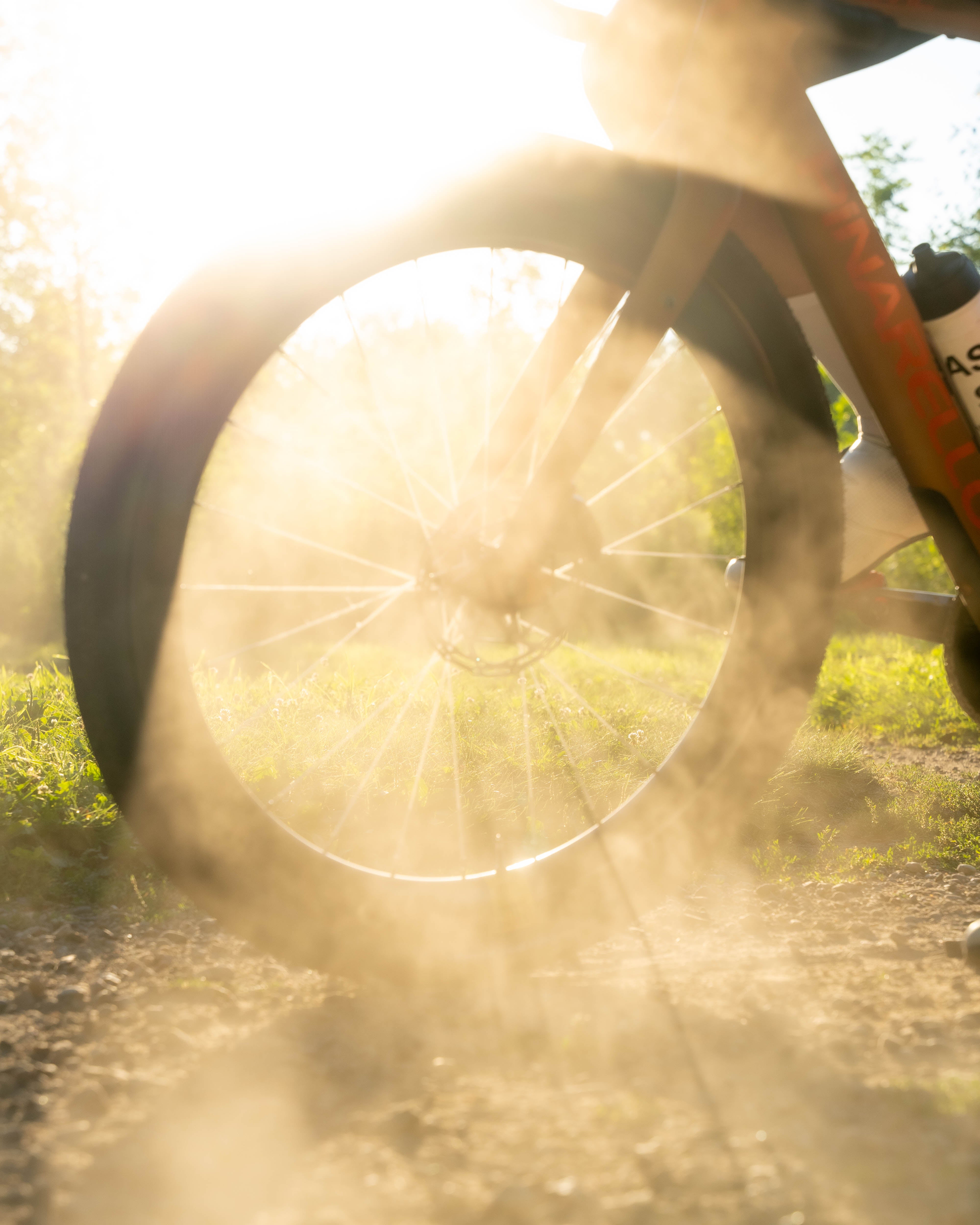 Gallery image 5