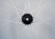 Load image into Gallery viewer, Berd Talon Hook Flange Hub Close Up View of How Spokes Lace to Hub